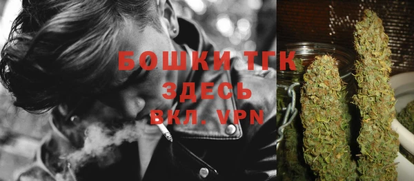 ECSTASY Михайлов