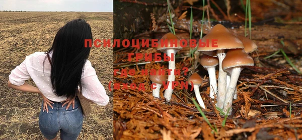 хмурый Михайловка
