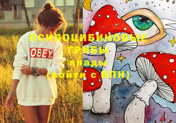 ECSTASY Михайлов