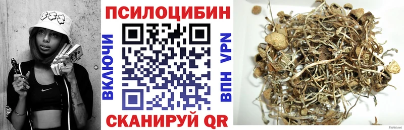 Псилоцибиновые грибы мицелий  Купить где  Сковородино 